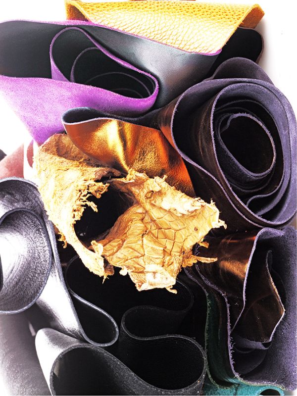 Accessori